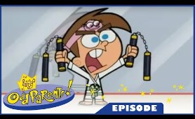 The Fairly OddParents - Kung Timmy / Which Witch is Which - Ep.35