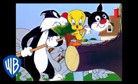 Looney Tunes | Sylvester Tries To Get Through The Guard Dogs | Classic Cartoon | WB Kids